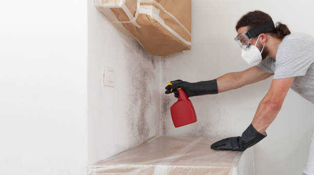 Attic Mold Remediation treatment on roof deck in Flintstone